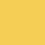 Maize Yellow C202