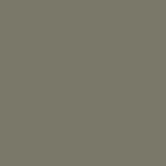 Light Khaki C704